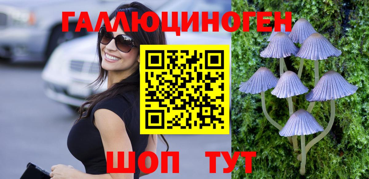 Галлюциногенные грибы Cubensis Кировск